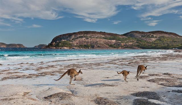 110 Cap le Grand NP, lucky bay.jpg